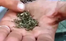 Hiểm họa ma túy giá rẻ ở Hy Lạp