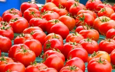 Chăm sóc da mùa Đông với 10 thực phẩm quen thuộc