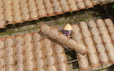 Làng nghề bánh tráng Cù Lao Mây mong vụ Tết