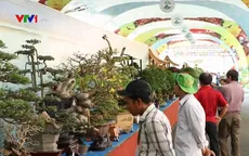 50 quốc gia tham gia Lễ hội Bonsai và Suiseki châu Á - Thái Bình Dương