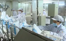 Không áp dụng hạn ngạch thuế quan nhập khẩu đường xuất xứ từ ASEAN