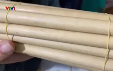 Nỗ lực nói không với rác thải nhựa tại làng quê Quảng Nam