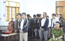Tuyên án vụ sai phạm tại rừng phòng hộ Bắc Biển Hồ
