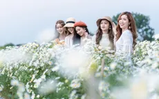 Giới trẻ Hà thành thích thú tạo dáng với cúc họa mi đầu mùa