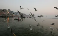 Bay chuyên cơ vãn cảnh trên xứ Ấn