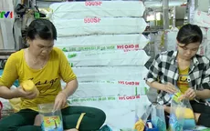 Khám phá quy trình sản xuất túi sinh học tự hủy