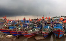 Quyết liệt các giải pháp để gỡ bỏ thẻ vàng thủy sản