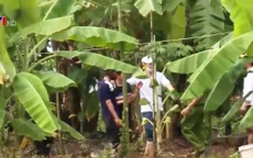 Tiền Giang: Hơn 100 học viên cai nghiện ma túy trốn trại