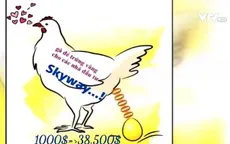 Skyway - Đầu tư chứng khoán hay đa cấp biến tướng?