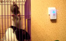 Máy đuổi chuột giả rao bán tràn lan trên mạng uy tín