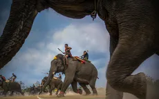 "Bước chân đại ngàn" giành giải đặc biệt tại Vietnam Heritage Photo Awards 2019