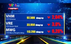 Thị trường chứng khoán Việt Nam đóng cửa phiên sáng 22/11 trong sắc đỏ