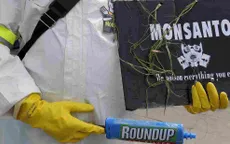 Monsanto thừa nhận sử dụng thuốc trừ sâu trái phép tại Mỹ