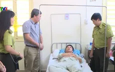 Cán bộ bảo vệ rừng bị hành hung ngay tại cơ quan