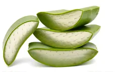 Nha đam làm giảm đáng kể các tác dụng phụ của xạ trị