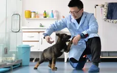 Trung Quốc nhân bản chó vô tính bổ sung vào lực lượng cảnh sát