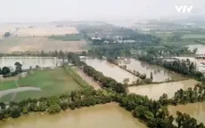 Xử lý vụ múc đất ruộng bán cho lò gạch tại Thuận Thành, Bắc Ninh