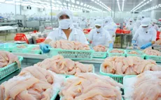 Xuất khẩu cá tra giảm mạnh