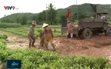 Nan giải khôi phục rừng đối với các nông hộ sau thiên tai