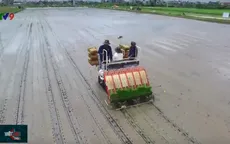 Cơ giới hóa gieo cấy lúa: Không thể chần chừ
