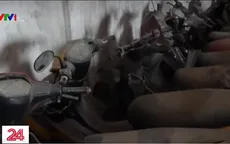 "Thông báo 3 không" tìm chủ sở hữu của 81 xe máy ỏ TP.HCM