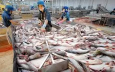 Mỹ công nhận hệ thống an toàn thực phẩm cá da trơn của Việt Nam