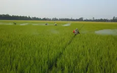 Gom rác đổi quà ở ĐBSCL