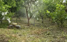 Tưới cây không cần ra vườn