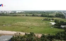 Nhiều công ty mất hàng trăm tỷ đồng vì sự tắc trách của cơ quan quản lý