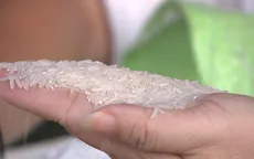 Ngành lúa gạo Thái Lan gặp nhiều khó khăn