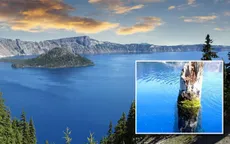 Khúc gỗ “thách thức” mọi định luật vật lý, nổi trên mặt nước suốt trăm năm không phân hủy