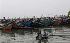 Thừa Thiên - Huế cấm tàu, thuyền ra khơi từ ngày 8/11