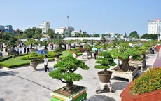 Lễ hội Bonsai và Suiseki châu Á - Thái Bình Dương lần đầu tiên được tổ chức tại Việt Nam
