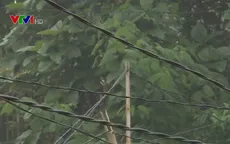 Nhiều hộ dân ở Phú Thọ hàng chục năm không có điện lưới
