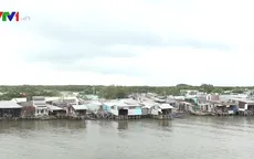 Cà Mau ban bố tình trạng sạt lở khẩn cấp