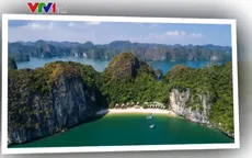 Đại diện Việt Nam giành giải Vàng Kiến trúc châu Á 2019
