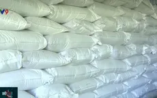 Triển khai tích cực việc bảo hộ bản quyền gạo ngon ST25