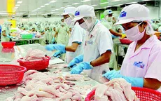 Thị trường xuất khẩu cá tra có nhiều thay đổi