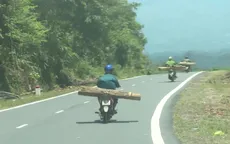 Ngăn chặn đường dây gỗ lậu cuối năm