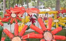 Khu vườn đặc biệt làm từ rác thải nhựa