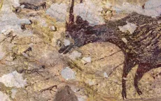 Phát hiện tác phẩm nghệ thuật lâu đời nhất thế giới tại Indonesia