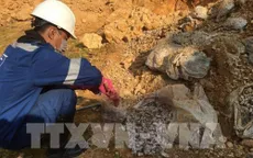 Hà Nội giao cơ quan công an làm rõ vụ đổ trộm chất thải