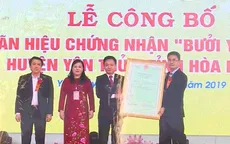 Hòa Bình: 4 sản phẩm cây ăn quả có múi được công bố nhãn hiệu tập thể