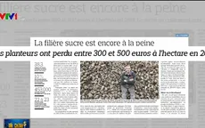 Hàng nghìn nông dân châu Âu bỏ trồng củ cải đường