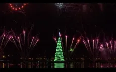 Thắp sáng cây thông Noel khổng lồ ở Brazil