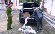 Bắt giữ vụ vận chuyển trái phép 9 con tê tê