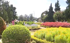 Khám phá Công viên hoa Đà Lạt