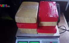 Argentina bắt giữ nhà cựu ngoại giao Bolivia do tàng trữ cocaine