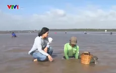 Nhọc nhằn nghề cào nghêu