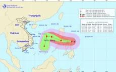 Các địa phương từ Quảng Ninh đến Cà Mau chủ động ứng phó với bão Kammuri